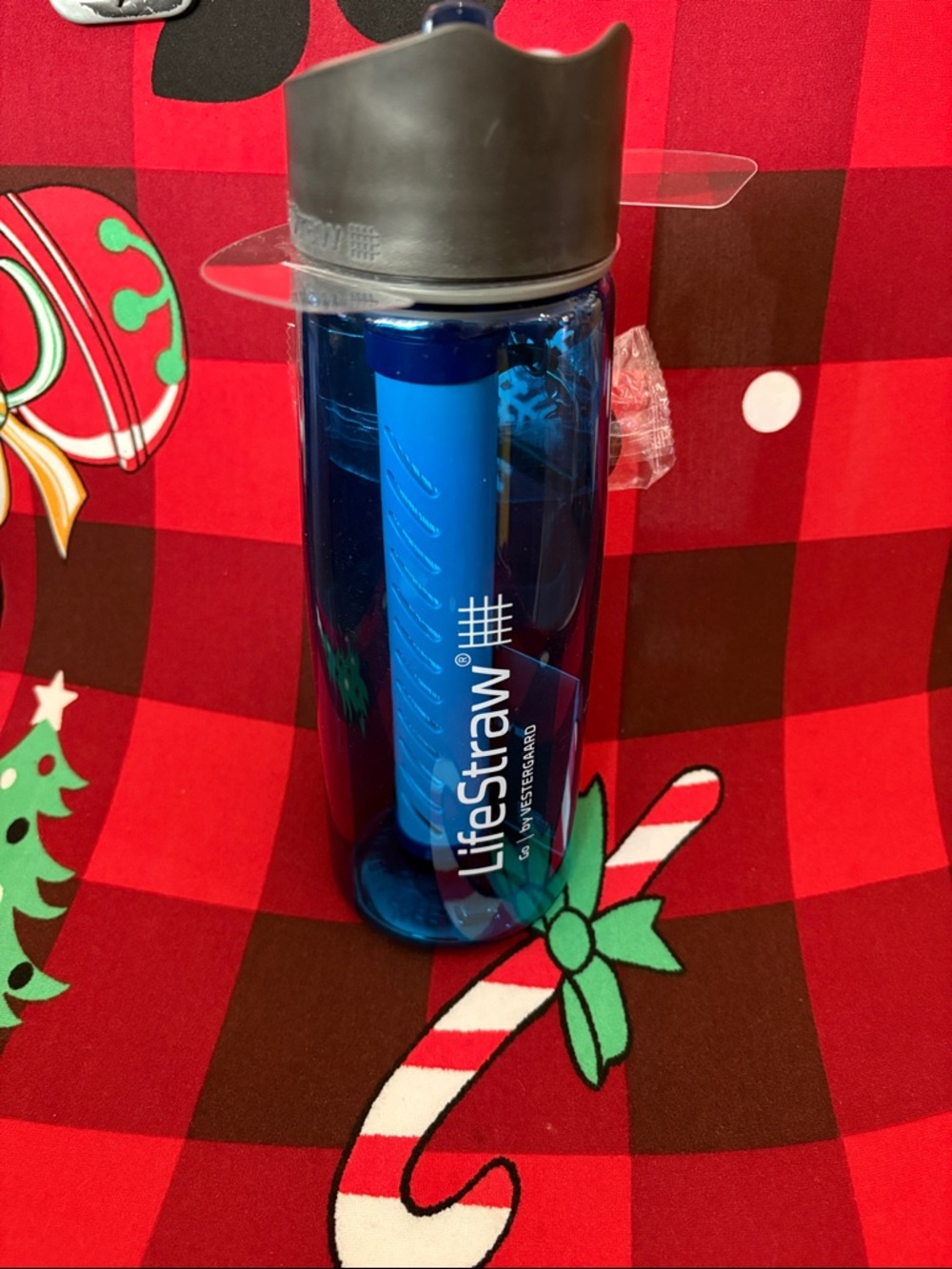 LifeStraw Blue Water Bottle with Built-In Filter Brand New